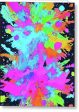 Color Splat - Greeting Card Online Hot Sale