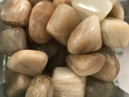 Mixed Moonstone Chips (12-15mm) Online