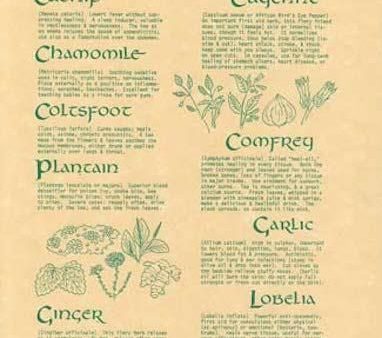 9 Healing Herbs Page Online now