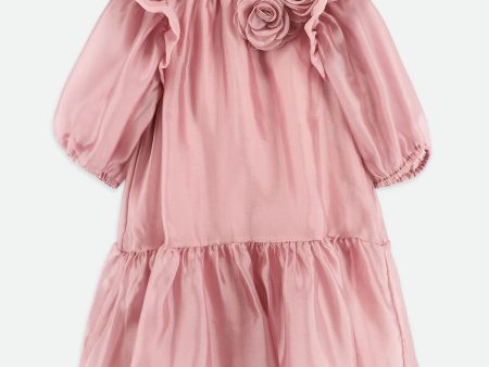 Lark Rose Trim Dress on Sale