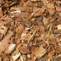 White Pine Bark Discount