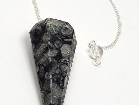 Black Coral Fossil Gemstone Pendulum Online Sale