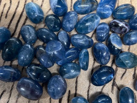 Blue Fluorite, Tumbled Online Hot Sale